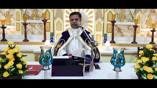 Sunday Holy Mass May 29  I 5.30 am I Malayalam I Syro Malabar I Fr  Bineesh Augustine