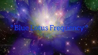 💠 The Blue Lotus Frequency 💠