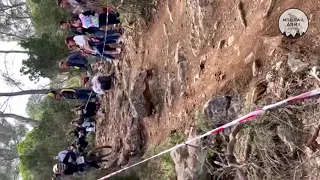 Best MTB Fails Of 2021 #19 | MTB Crashes 2021 | MTB FailArmy