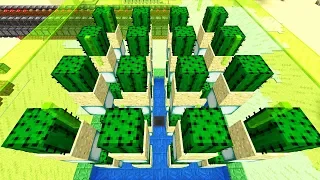 Minecraft Kaktus Farm Tutorial - Einfache kompakte effektive Farm!