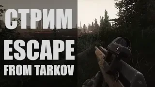 Escape from Tarkov. Стрим по Таркову.