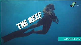 Underwater documentary filmed on an IPHONE- The REEF