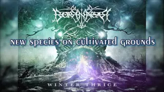 Borknagar - Panorama Lyrics Video