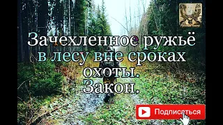 Зачехленное ружьё в лесу вне сроков охоты.