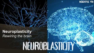 Neuroplasticity : Rewiring the brain #neuroplasticity#neuroscience#brain#class12#psychology