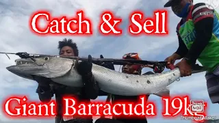 19+kg Spined Shot💪💪 Great Barracuda|| Gabby Ramal