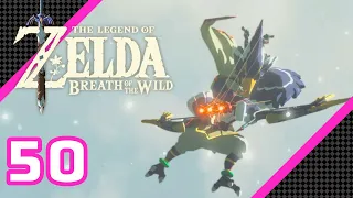 The Legend of Zelda: Breath of the Wild - EX Champion Revali's Song - 100% Playthrough (50)