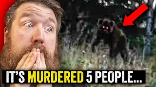 Something Is KILLING People In These National Parks!