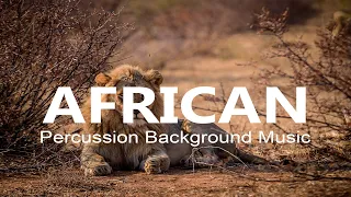 African - Drums | Background Music For Videos | TolsetMusic