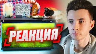 ХЕСУС СМОТРИТ: АКВАРИУМ ИЗ БУДУЩЕГО - 60 ДНЕЙ СПУСТЯ | SLIVKISHOW | РЕАКЦИЯ