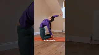 Change this to improve camel pose