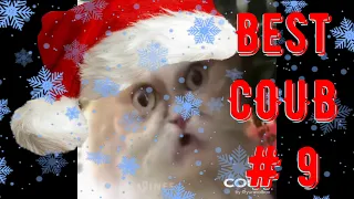 Best COUB # 9 December 2021 New Year's edition Новогодний выпуск