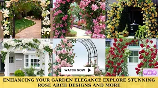 Enhancing Your Garden Elegance Explore Stunning Rose Arch Designs and More