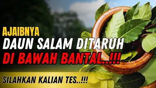 🛑 DAUNNYA NABI KHIDIR ❗ Taruh 3 Lembar Kalau Berani..!! Khasiat Daun Salam Di Bawah Bantal...