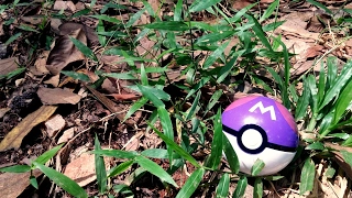 Real Life MasterBall - Pokemon - PokeBall - Gym Badge