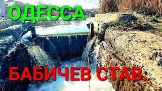 Одесса. Бабичев став. Любочкин пруд / Цыганский / Слободской / Кривой. Родник питьевой. #зоотроп