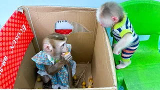 Monkey Kaka and Monkey Mit broke into the kitchen while dad was away