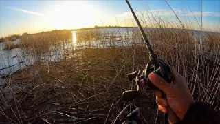 Spring Bass fishing on the California Delta