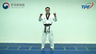 Taekwondo Online: Clase 4, golpes básicos