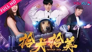 【拾犬拾美】一只狗引发的爱情！| 2018奇幻爱情喜剧 | 刘旭/张冰丽/高天  | YOUKU MOVIE | 优酷电影