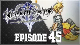 Kingdom Hearts 1.5+2.5: Kingdom Hearts 2 Final Mix (PS4) Part 45 - Winnie the Pooh