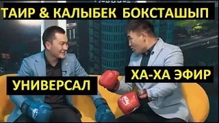 Калыбек Таирди бокстан  утуп алды. Универсал командасы эфирди ЖАРДЫ!