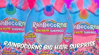 Giant Eggs with Unicorn Horns! Rainbowcorns Big Hair Surprise Biggest Plush Unboxing! XL egg!