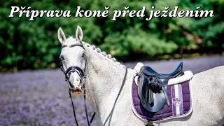 Příprava koně před ježděním // Jak zabandážovat, nasedlat a nauzdit koně