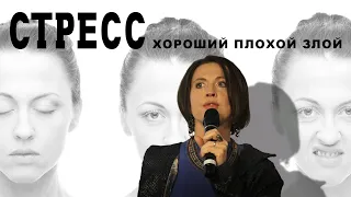 Стресс: хороший, плохой, злой // Лекция Евгении Тимоновой