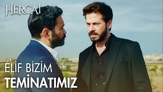 Azat, Elif'le evlenecek mi? - Hercai Efsane Sahneler