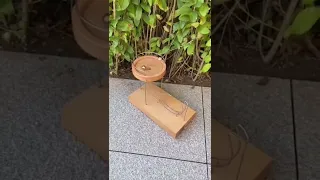 Perpetual Motion Kinetic Art Science Toy| |Products | Link in the Comments! #shorts #satisfaction