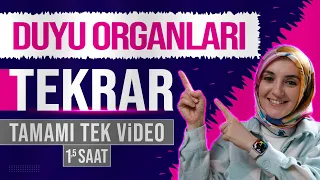 3) Duyu Organları FULL TEKRAR | 11. Sınıf Biyoloji | AYT Biyoloji Konu Anlatımı 3