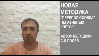 ПЕРЕПОЛЮСОВКА НЕГАТИВНЫХ  КЛЕТОК ПО МЕТОДИКЕ С.И.ЛОСЕВА