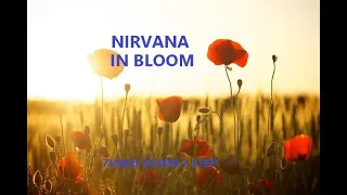 Nirvana - In Bloom - Tune Down 1 Step (D Tuning)