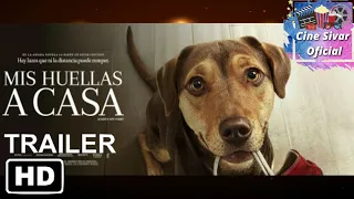 Mis Huellas A Casa Trailer Oficial Español #CineSivarOficial