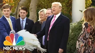 President Donald Trump Pardons His First Thanksgiving Turkey At White House Ceremony | NBC News