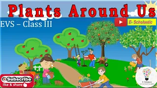 E- Scholastic-  EVS/Science Class 3 "Plants around us" CBSE NCERT