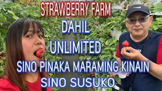 Part 1 STRAWBERRY FARM SA JAPAN /UNLIMITED STRAWBERRY 🍓 #shorts #strawberry #strawberryfarm #japan