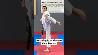 Stretch For Roundhouse Kicks