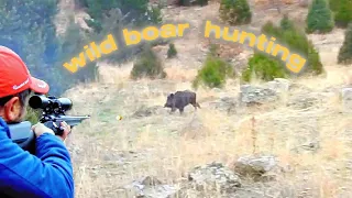 Aksiyon Macera Heyecan / Domuz Avı / Chasse au sanglier