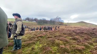 Spaniel championship 2023 Field trials￼ champion Sedgewood Poppy of Countryways first run￼