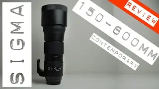 Sigma 150-600mm Contemporary Review - Still a good option?