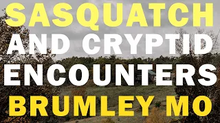 The Bigfoot (Cryptid Creature) Looked Like A Contortionist | Activity In Brumley Missouri