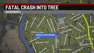 Man dies after single-vehicle crash with a tree