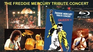 [305] The Freddie Mercury Tribute Concert - SD Blu-ray Edition (2013)