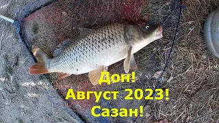 Рыбалка и отдых  на Дону с друзьями! Ловим сазана! Август 2023! ч. 1-ая