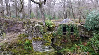 Tollymore Forest Park, Northern Ireland