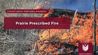 Prairie Prescribed Fire