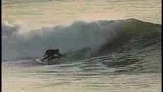 Belmar Fishing Pier Morning Sesh