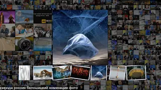 Победители конкурса Дикая природа России 2019 National Geographic
